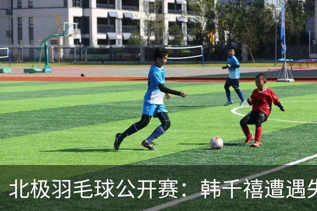 北极羽毛球公开赛：韩千禧遭遇失利，韩悦独自奋战
